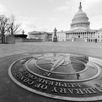 American Government